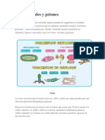 Virus-Viroides y Priones