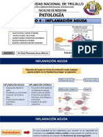 Seminario 4 Inflamación Aguda