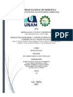 Mapas Conceptuales - Biopesticidas