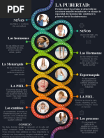 Cambios Físicos y Emocionales en La Pubertad | PDF | Pubertad | Testículo