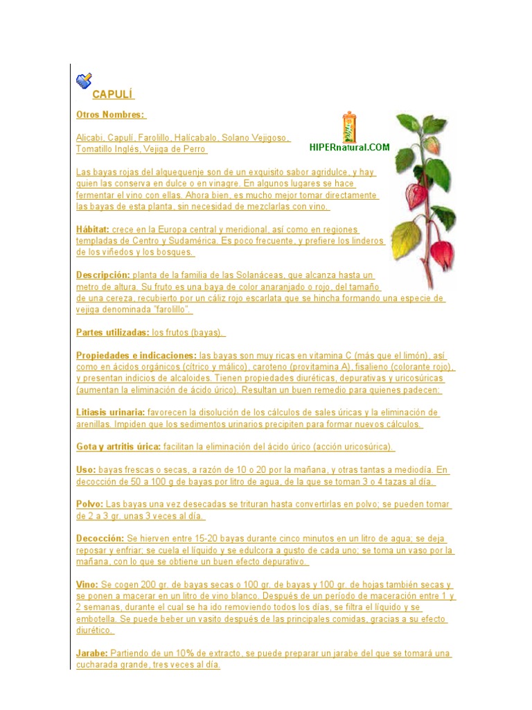 Propiedades y usos del capulí | PDF | Gota | Vino