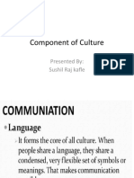 Component of Culture