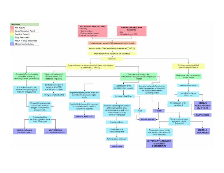 PATHOPHYSIOLOGY Pott's Disease PDF