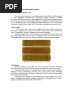 Download Alat Komunikasi Masa Lalu Dan Masa Sekarang by tanbaro SN54253144 doc pdf
