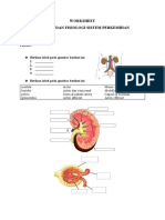 Lab Worksheet Sistem Perkemihan