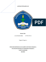 LP Perilaku Kekerasan