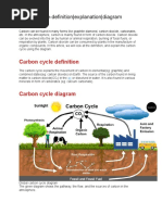 Carbon Cycle-Definition - Explanation - Diagram