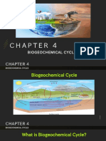 Biogeochemical-Rock Cycle
