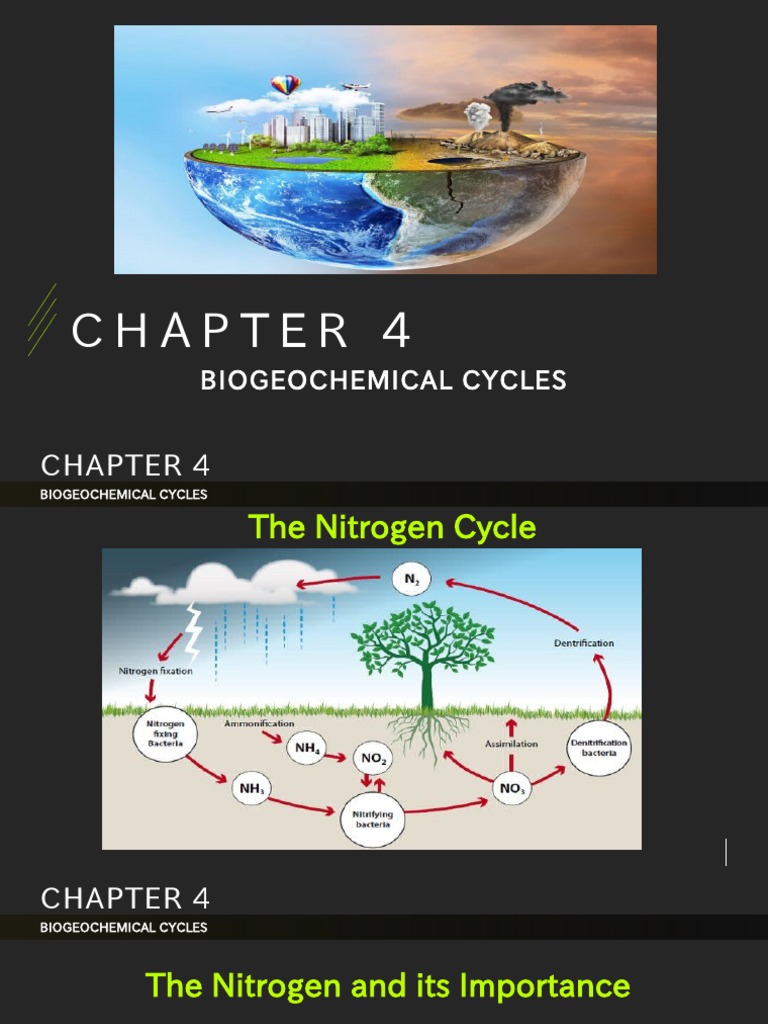 Nitrogen Pathways The Ultimate Guide For Beginners Experts - gszk452