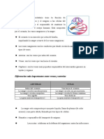 SISTEMA CIRCULATORIO