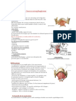 Phase Bucco Oesophagienne