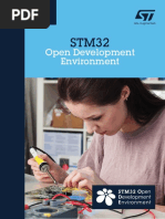 Open Development Environment