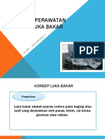 PPT, Luka Bakar