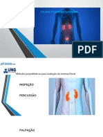 Doencas Sistema Renal