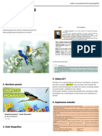 PAdlet Oaspeții