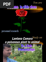 Download Lantana Camara Slide Show-1 by Jibachha Shah SN54259348 doc pdf