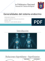 Endocrino