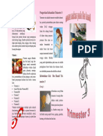 PDF Leaflet Ibu Hamil Trimester 3 Compress