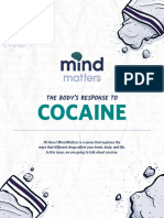 Cocaine: The Body'S Response To