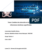 Informe