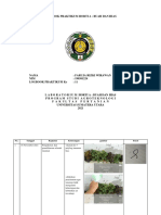 Faruja Rizki Wirawan - Logbook Hias Ke 11