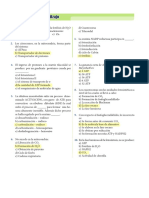 Actividad Fotosintesis 2 (1)