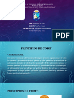 Principios de COBIT en un ISUP