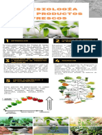 Infografia Poscosecha N°3