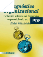 Libro Diagnostico Organizacional Elizabe