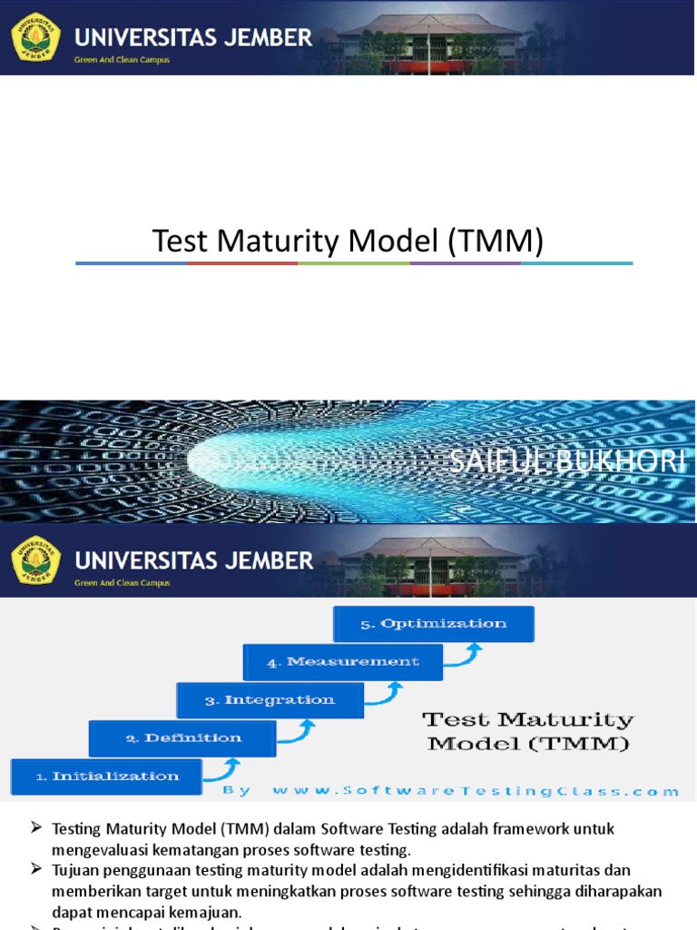 Test Maturity Model | PDF