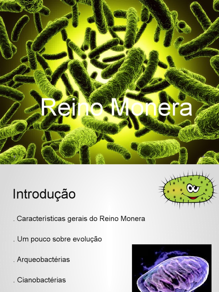 Reino Monera: Guia para Estudantes | PDF | Bactérias | Organismos