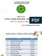 Microarray Nhom9-1