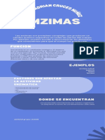 Infografia Enzimas