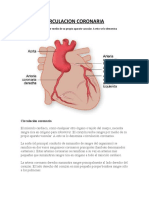 Circulación coronaria: El suministro sanguíneo del corazón