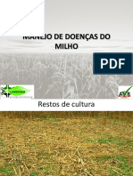 10-Manejo de Doenças Do Milho