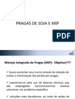 3-Pragas de Soja e Mip