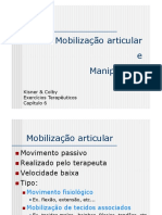 Mobilização Articular