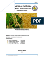 5 Producción de Arroz Sem I - 2021