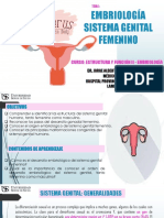 Sistema Genital Parte 1 Femenino