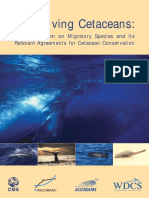 Consenving Cetaceans