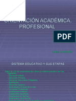 Orientación Académica, Profesional