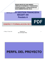 Perfil proyecto Magefi