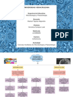 Act. 1 CIENCIAS AUXILIARES