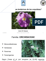 Características Botánicas de Las Orquídeas OK