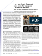 mutacion bipedalismo