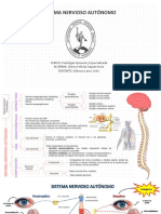 Sistema nervioso autónomo