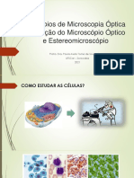 Aula 2 - Teórica - Princípios de Microscopia Óptica