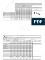 Formatos de Inspección