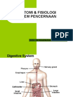 Anatomi Fisiologi Sistem Pencernaan