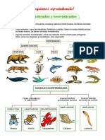 Seguimos aprendiendo